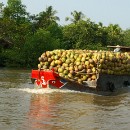 FG Mannheim 02 Klaus D. Fuchs